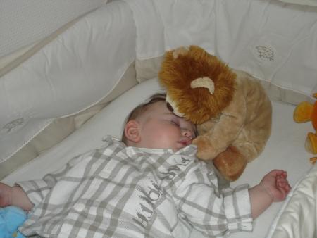 Sous la protection de mon gros lion...